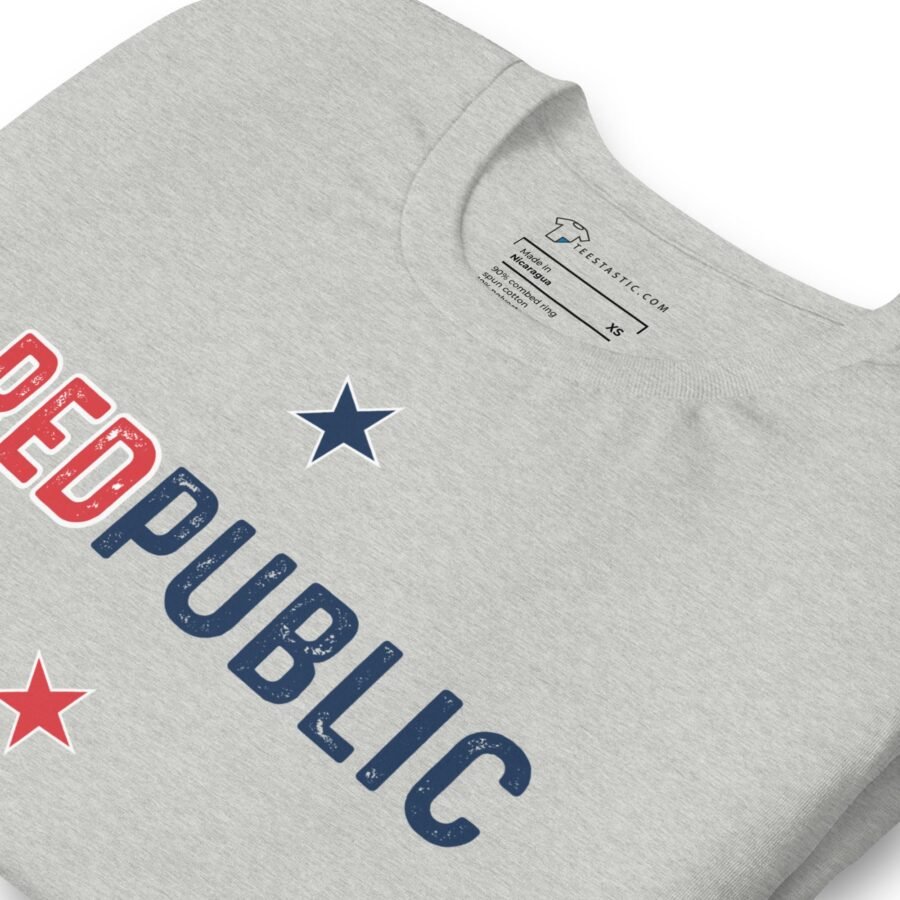 Red Public | Elections 2024 | Unisex Heavy Cotton Tee