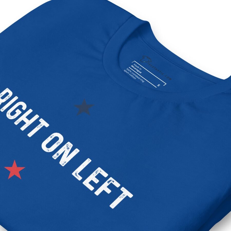 Democrat Right on Left | Election 2024 | Unisex Heavy Cotton Tee - Image 6